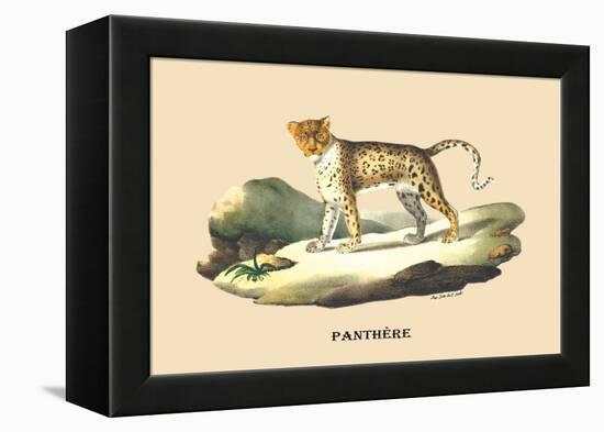 Panthere-E.f. Noel-Framed Stretched Canvas