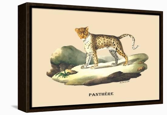 Panthere-E.f. Noel-Framed Stretched Canvas