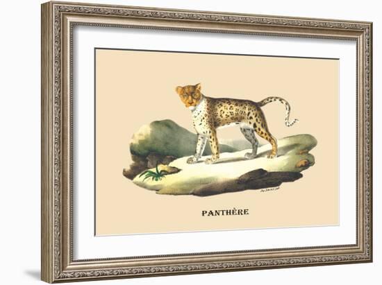 Panthere-E.f. Noel-Framed Art Print