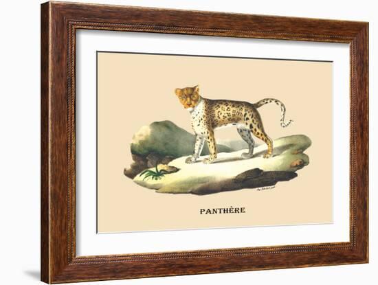 Panthere-E.f. Noel-Framed Art Print