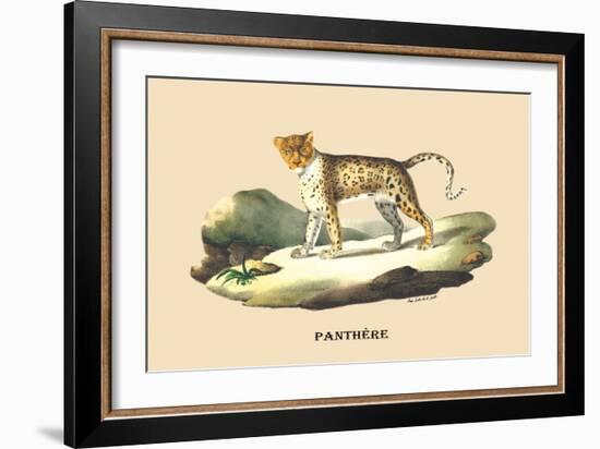 Panthere-E.f. Noel-Framed Premium Giclee Print