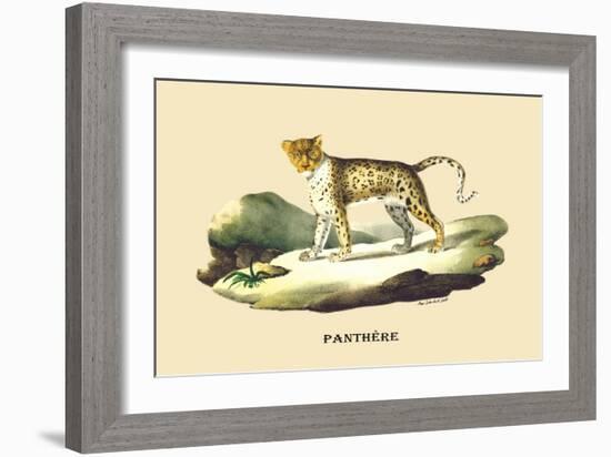 Panthere-E.f. Noel-Framed Art Print