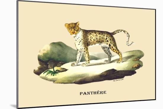 Panthere-E.f. Noel-Mounted Art Print