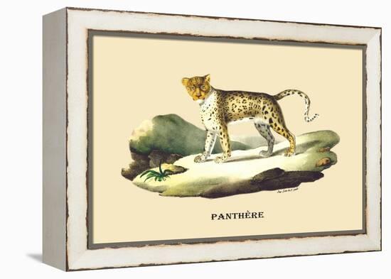 Panthere-E.f. Noel-Framed Stretched Canvas