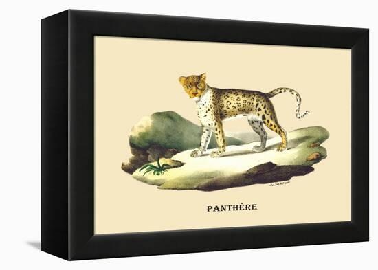 Panthere-E.f. Noel-Framed Stretched Canvas