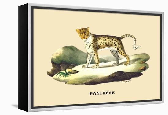 Panthere-E.f. Noel-Framed Stretched Canvas