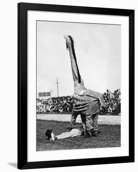 Photographic Print, , large