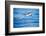 Pantropical spotted dolphin leaping out of the ocean, Hawaii-David Fleetham-Framed Photographic Print