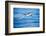 Pantropical spotted dolphin leaping out of the ocean, Hawaii-David Fleetham-Framed Photographic Print