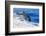 pantropical spotted dolphins side by side, porpoising, hawaii-david fleetham-Framed Photographic Print