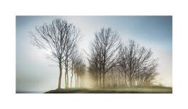 Twilight Silhouettes-Paolo De Faveri-Giclee Print