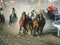 Chuck Wagon Race, Calgary Stampede, Alberta, Canada-Paolo Koch-Mounted Photographic Print