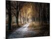 Giclee Print