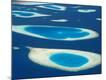 Premium Photographic Print