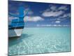 Photographic Print