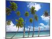 Premium Photographic Print