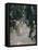Papageienallee, 1902-Max Liebermann-Framed Premier Image Canvas