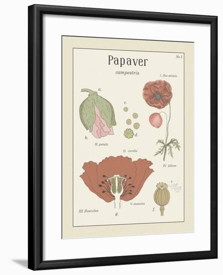 Papaver-Maria Mendez-Framed Giclee Print