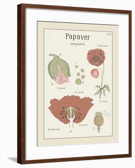 Papaver-Maria Mendez-Framed Giclee Print