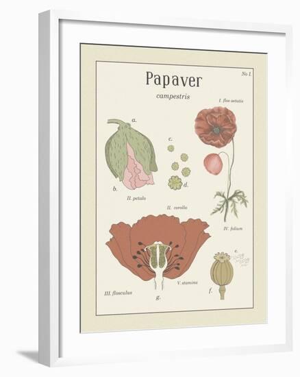 Papaver-Maria Mendez-Framed Giclee Print