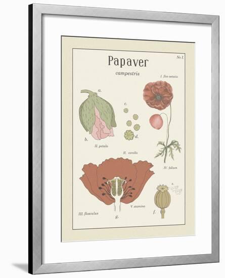 Papaver-Maria Mendez-Framed Giclee Print