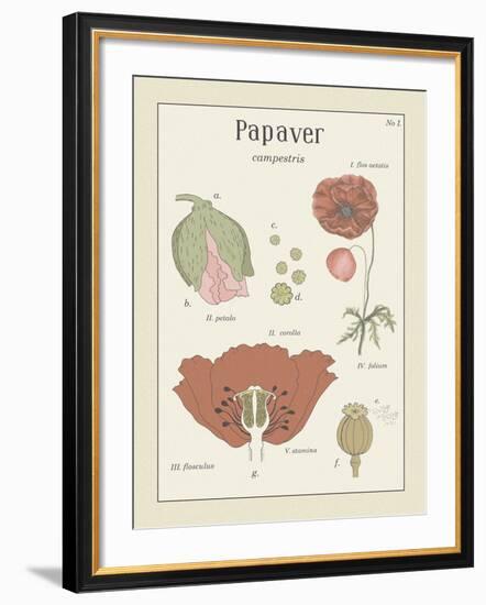 Papaver-Maria Mendez-Framed Giclee Print