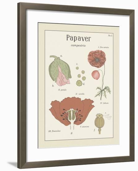 Papaver-Maria Mendez-Framed Giclee Print