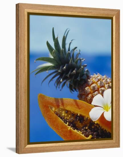 Papaya and Pineapple-Vladimir Shulevsky-Framed Premier Image Canvas