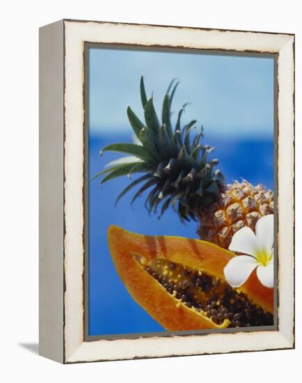 Papaya and Pineapple-Vladimir Shulevsky-Framed Premier Image Canvas