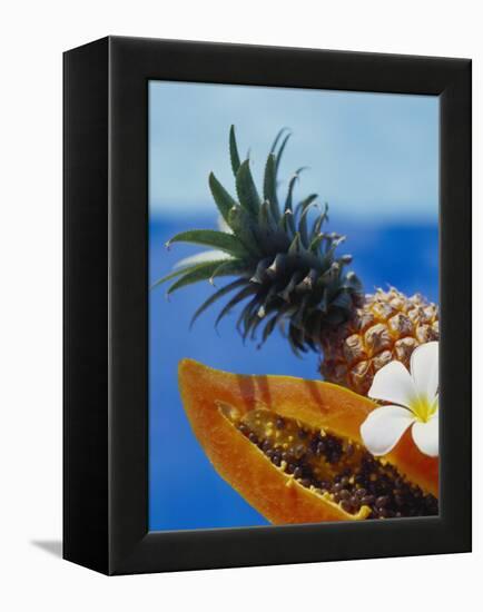 Papaya and Pineapple-Vladimir Shulevsky-Framed Premier Image Canvas