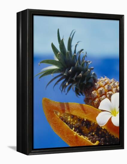 Papaya and Pineapple-Vladimir Shulevsky-Framed Premier Image Canvas