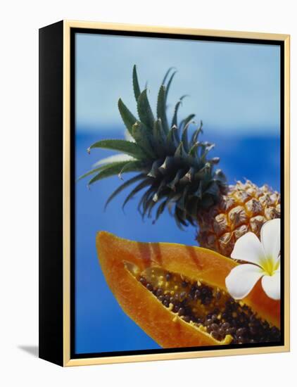 Papaya and Pineapple-Vladimir Shulevsky-Framed Premier Image Canvas