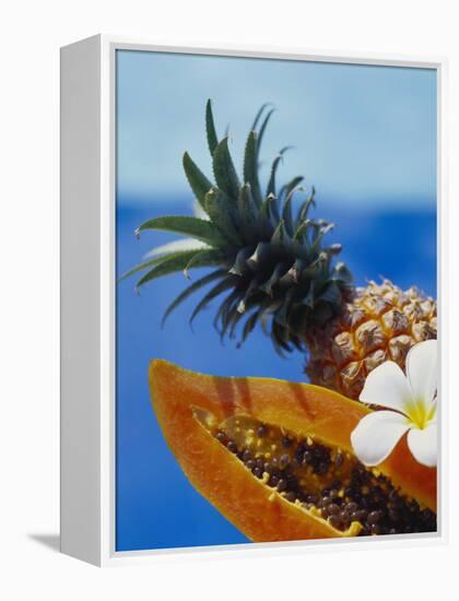 Papaya and Pineapple-Vladimir Shulevsky-Framed Premier Image Canvas