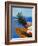 Papaya and Pineapple-Vladimir Shulevsky-Framed Photographic Print