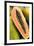 Papaya at a farmer's market in Philadelphia, Pennsylvania, USA.-Julien McRoberts-Framed Photographic Print