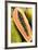 Papaya at a farmer's market in Philadelphia, Pennsylvania, USA.-Julien McRoberts-Framed Photographic Print