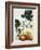 Papaya; Carica Papaya-Georg Dionysius Ehret-Framed Giclee Print