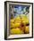 Papaya Fruit, Bangsar Sunday Night Market, Kuala Lumpur, Malaysia, Southeast Asia, Asia-Christian Kober-Framed Photographic Print