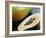 Papaya (Pawpaw) Sliced Open to Show Black Seeds-Lee Frost-Framed Photographic Print