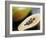 Papaya (Pawpaw) Sliced Open to Show Black Seeds-Lee Frost-Framed Photographic Print