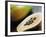 Papaya (Pawpaw) Sliced Open to Show Black Seeds-Lee Frost-Framed Photographic Print