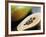 Papaya (Pawpaw) Sliced Open to Show Black Seeds-Lee Frost-Framed Photographic Print