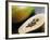 Papaya (Pawpaw) Sliced Open to Show Black Seeds-Lee Frost-Framed Photographic Print