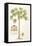 Papaya Tree-Porter Design-Framed Premier Image Canvas