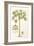 Papaya Tree-Porter Design-Framed Giclee Print