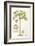 Papaya Tree-Porter Design-Framed Giclee Print