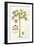 Papaya Tree-Porter Design-Framed Giclee Print