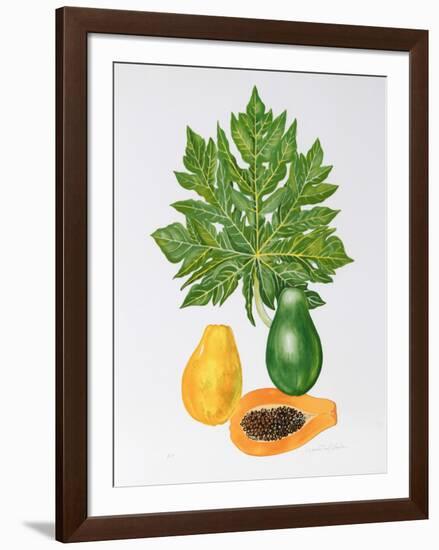 Papaya-Marion Sheehan-Framed Collectable Print