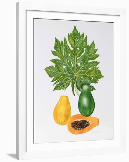 Papaya-Marion Sheehan-Framed Collectable Print