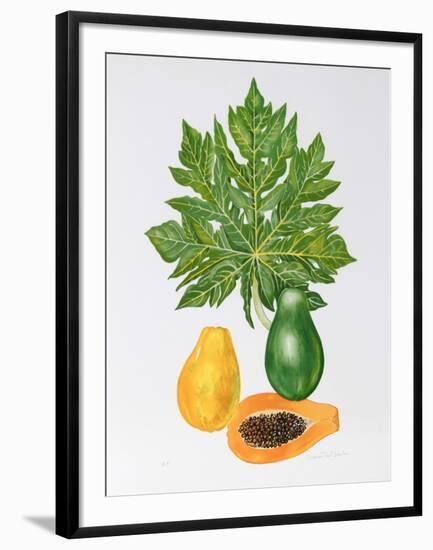 Papaya-Marion Sheehan-Framed Collectable Print